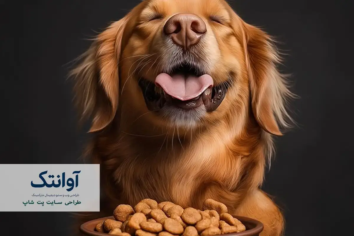 طراحی سایت پت‌ شاپ