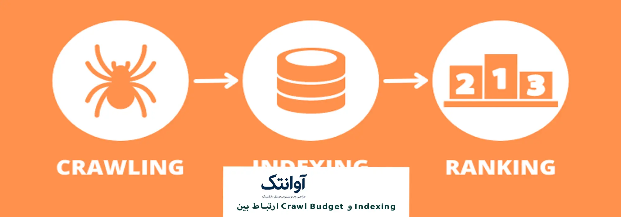 تفاوت بین ایندکس و کرول 